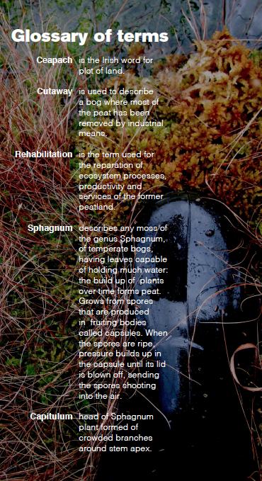 Screen Shot 2019-11-19 at 19.46.29