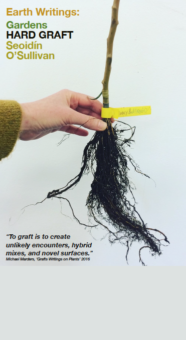 Screen Shot 2019-11-19 at 19.21.29