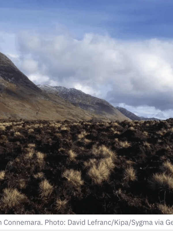 How to read the climate history of a&nbsp;bog