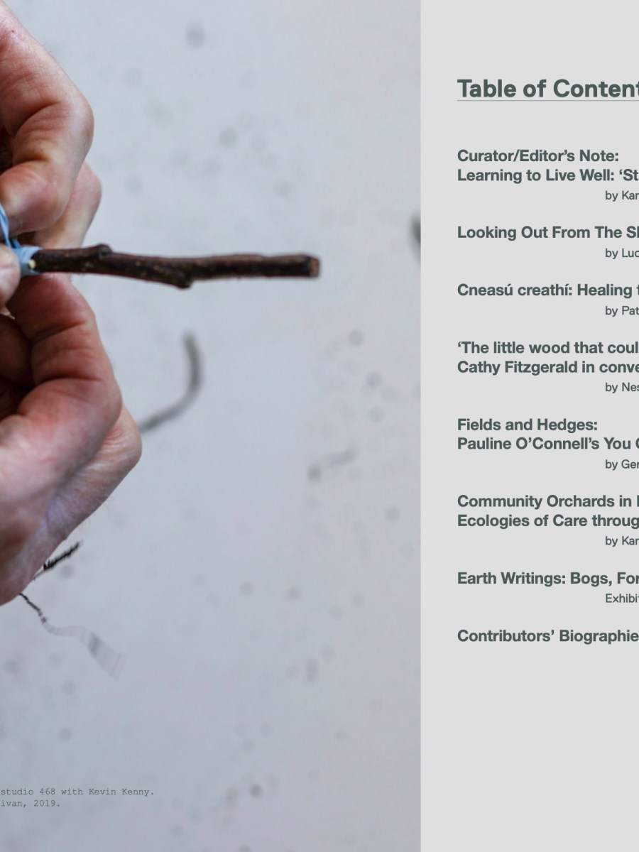 Earth Writings Receives GSI Book of the Year&nbsp;Award