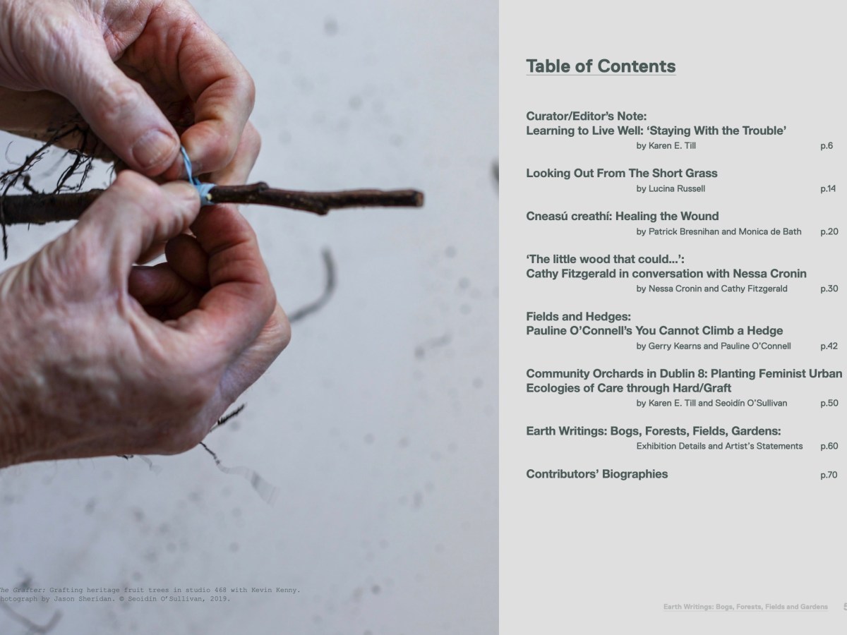 Earth Writings Receives GSI Book of the Year&nbsp;Award